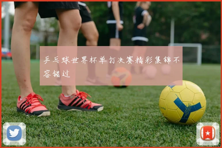 乒乓球世界杯单打决赛精彩集锦不容错过