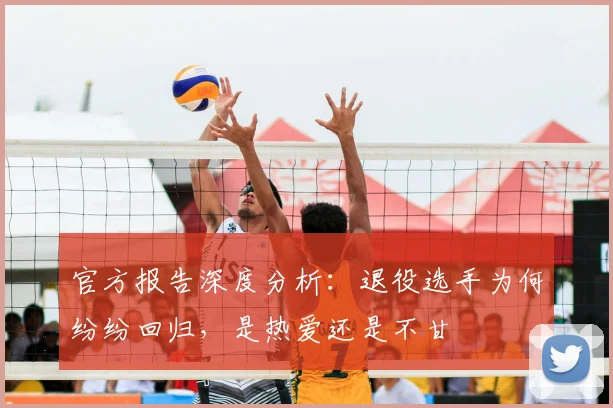 官方报告深度分析：退役选手为何纷纷回归，是热爱还是不甘