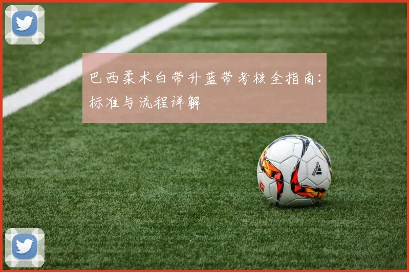 巴西柔术白带升蓝带考核全指南：标准与流程详解