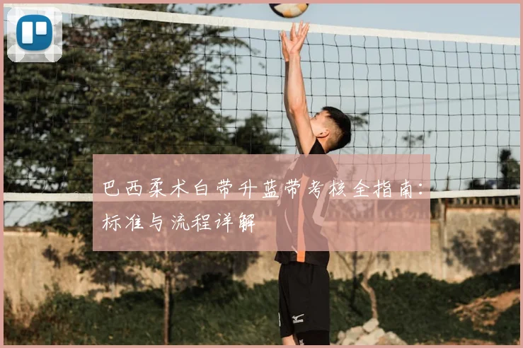 巴西柔术白带升蓝带考核全指南：标准与流程详解