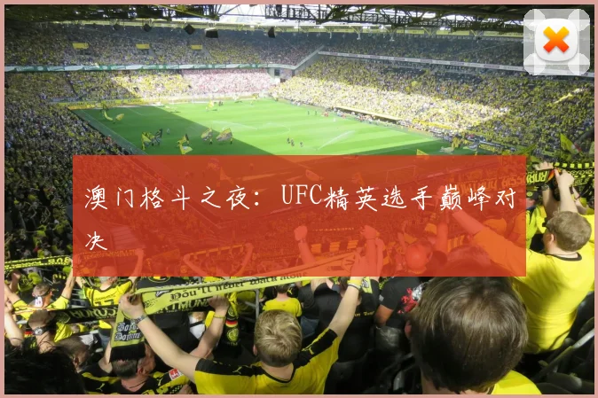 澳门格斗之夜：UFC精英选手巅峰对决
