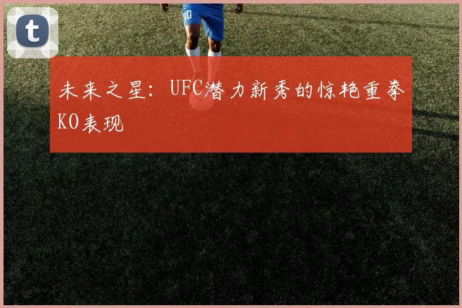 未来之星:UFC潜力新秀的惊艳重拳KO表现