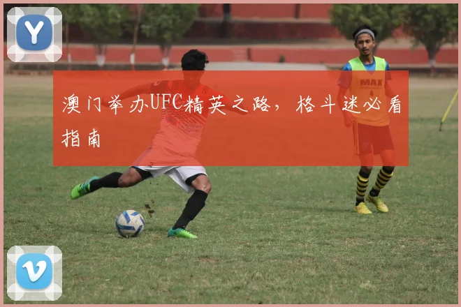 澳门举办UFC精英之路，格斗迷必看指南