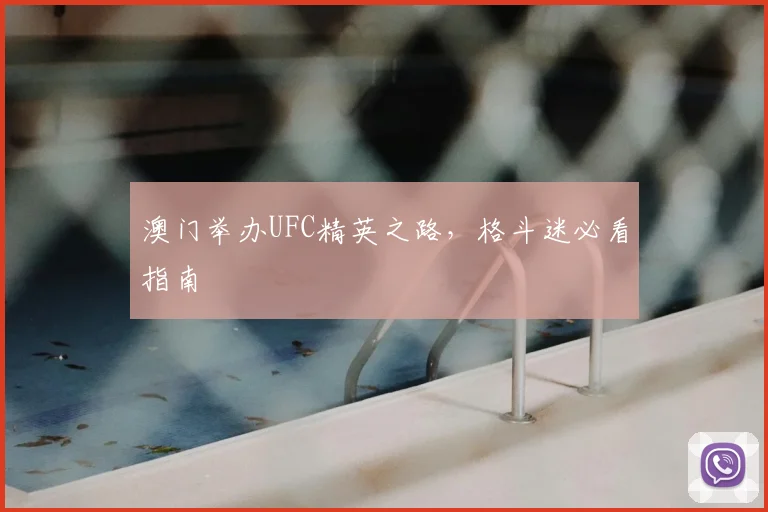 澳门举办UFC精英之路,格斗迷必看指南