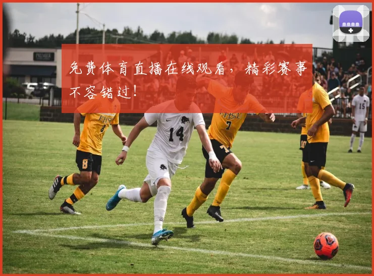 免费体育直播在线观看,精彩赛事不容错过!