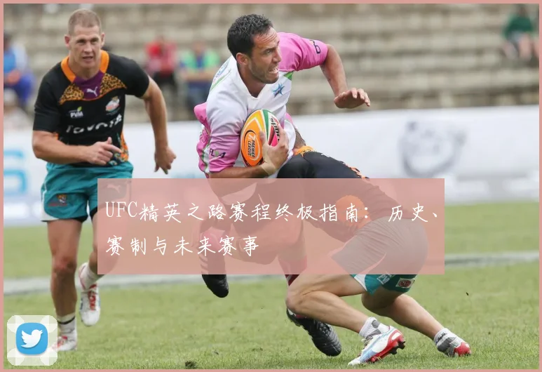 UFC精英之路赛程终极指南：历史、赛制与未来赛事