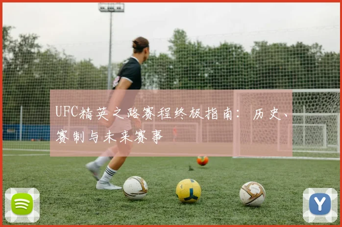 UFC精英之路赛程终极指南：历史、赛制与未来赛事