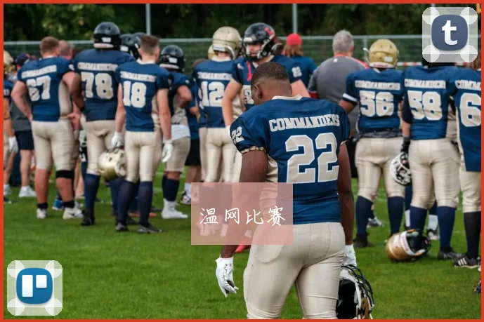 温网比赛